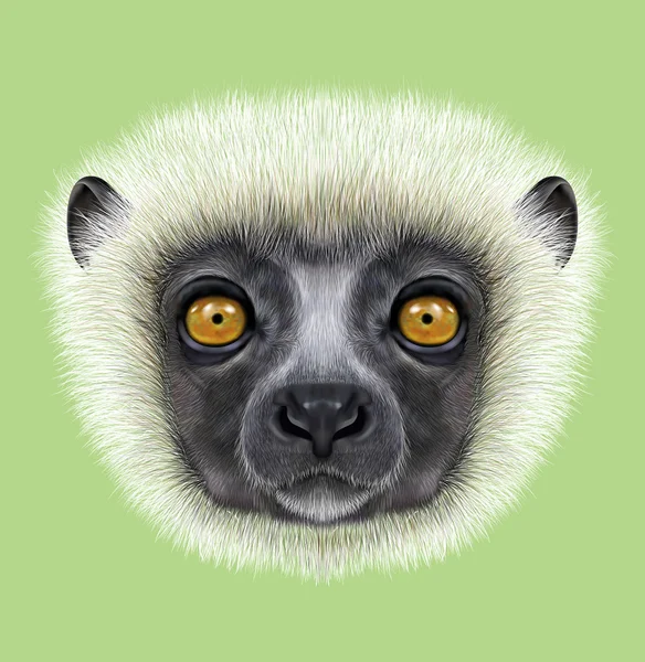 Illustriertes Porträt des Sifaka-Lemurs — Stockfoto