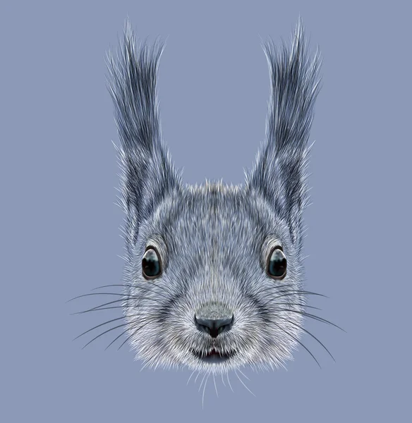 Geïllustreerde portret van eekhoorn — Stockfoto