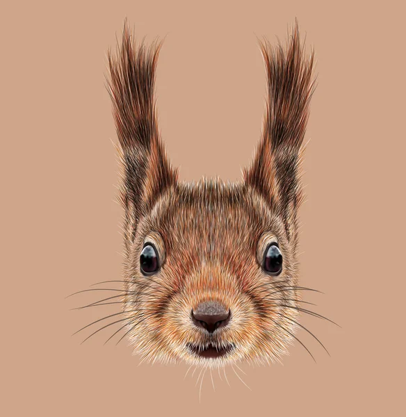 Illustrated Portrait of Squirrel — Stock Photo, Image