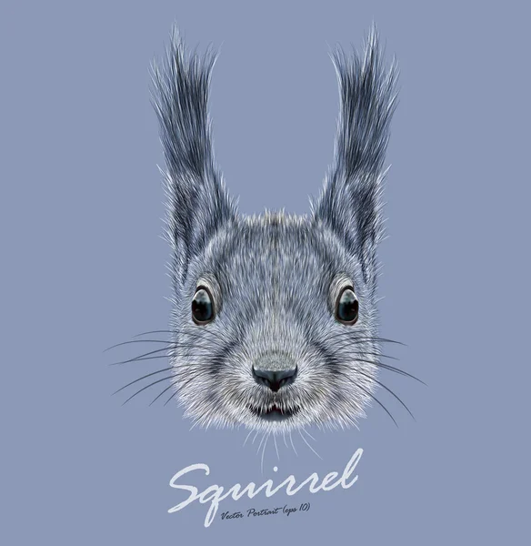 Cara de animal salvaje de ardilla. Vector Britain lindo retrato de cabeza de ardilla gris. Retrato realista de piel de ardilla divertida aislada sobre fondo azul . — Archivo Imágenes Vectoriales