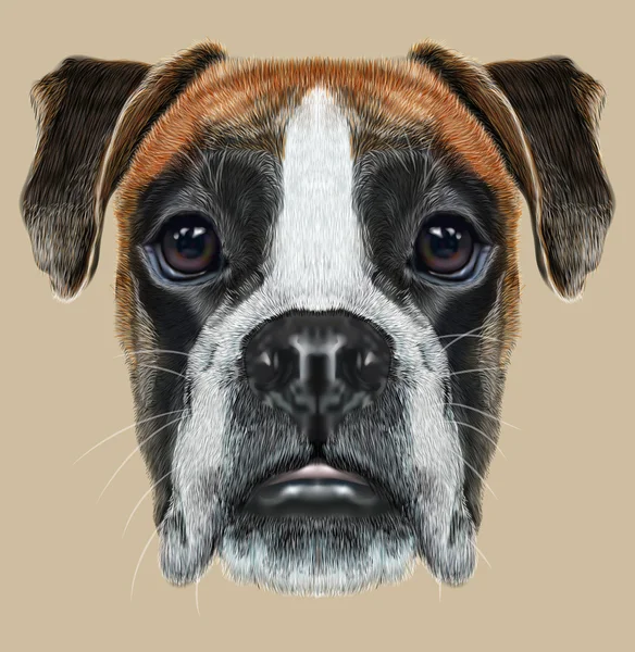 Illustriertes Porträt eines Boxerhundes auf beigem Hintergrund. — Stockfoto