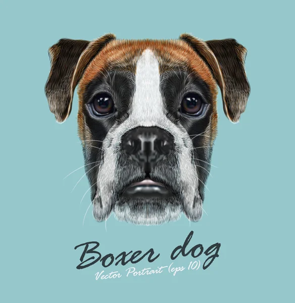 Boxer cão animal bonito rosto. Vector fawn German boxer puppy head portrait. Retrato de pele realista de pugilista marrom puro cachorrinho isolado no fundo azul . — Vetor de Stock