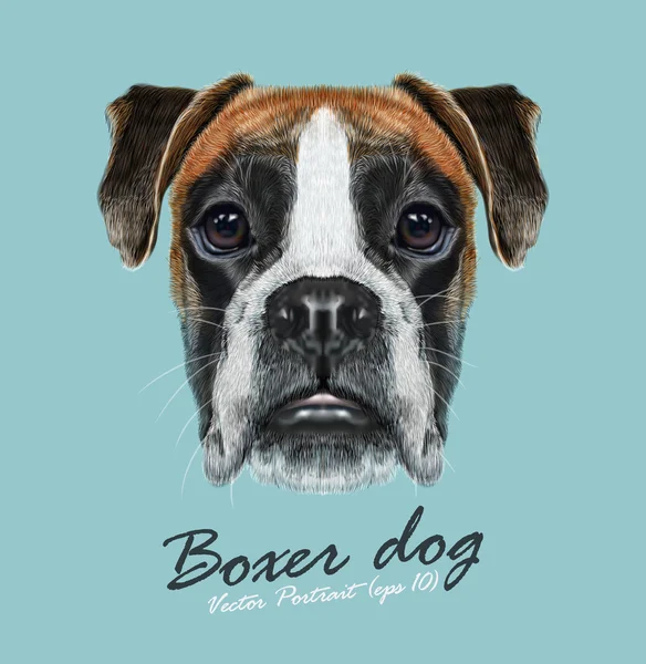 Boxeador animal cara linda perro. Vector fawn retrato de cabeza de cachorro boxeador alemán. Retrato realista de piel de perro boxeador marrón de pura raza aislado sobre fondo azul . — Vector de stock