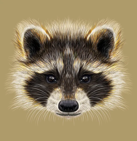 Illustrated Portrait of Raccoon — Stock Photo, Image