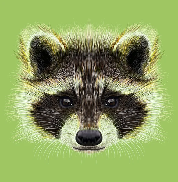 Illustrated Portrait of Raccoon on green background — Stock Photo, Image