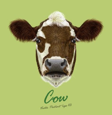 İnek çiftlik hayvan yüz. Vektör sevimli tarım sığır baş portre. Gerçekçi kürk portre üzerinde yeşil arka plan izole kahverengi ve Beyaz benekli buzağı.