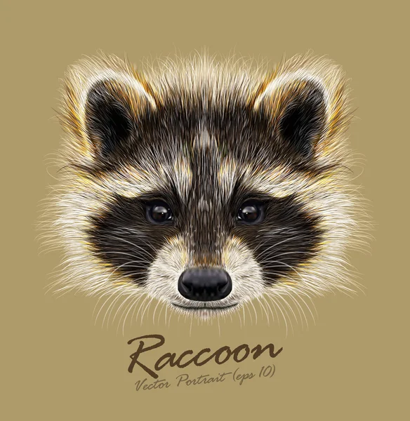 Mapache Procyon lotor cara de animal salvaje. Vector lindo retrato de cabeza de mapache máscara de América del Norte. Retrato realista de piel de racoon divertido gato basura aislado sobre fondo beige . — Archivo Imágenes Vectoriales