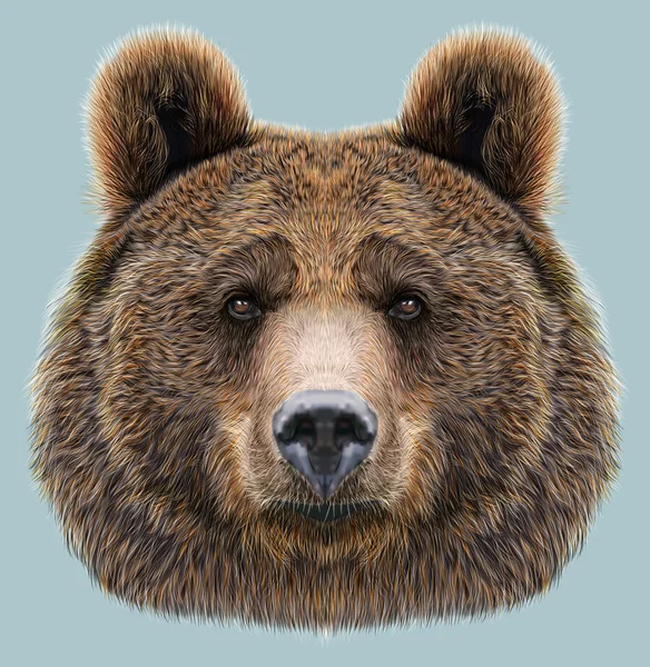 Illustrated Portrait of Bear on blue background — Stock Photo, Image