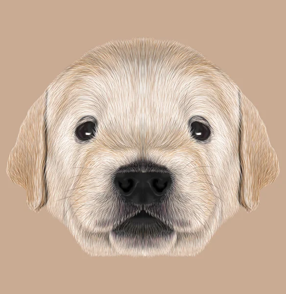 Illustrated Portrait of Golden Retriever Puppy — Stock Photo, Image