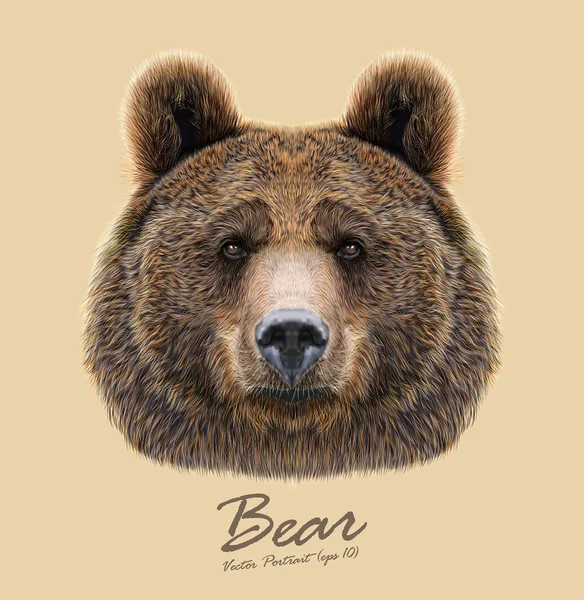 Dierlijk gezicht dragen. Grizzly brown bear hoofd portret. Realistische bont portret van Beer op blauwe achtergrond. — Stockvector