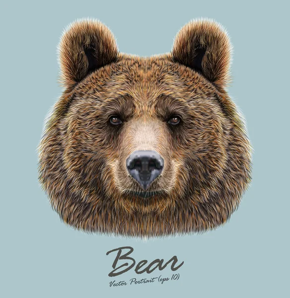 Bear animal face. Grizzly brown bear head portrait. Realistic fur portrait of bear on blue background. — Stock Vector