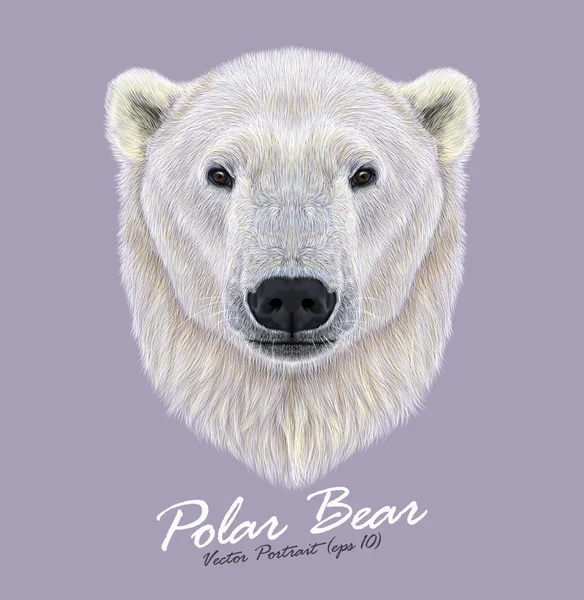 Polar bear wild animal face. Vector cute Northern Arctic, Canadian, Alaska, Norway Polar Bear Ursus maritimus head portrait. Realistic fur portrait of ice big bear isolated on violet background. — Stock Vector