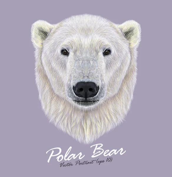 Oso polar cara de animal salvaje. Vector lindo Ártico del Norte, Canadiense, Alaska, Noruega Oso Polar Ursus maritimus retrato de cabeza. Retrato realista de piel de oso grande de hielo aislado sobre fondo violeta . — Archivo Imágenes Vectoriales