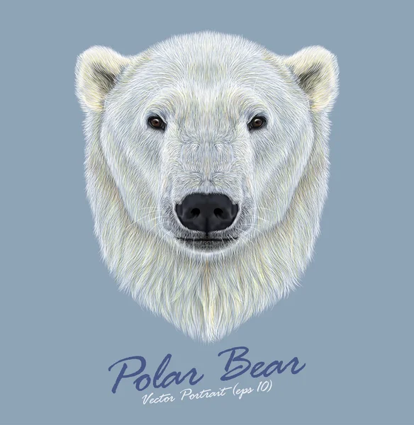 北极熊野生动物的脸。向量可爱北极北部, 加拿大人, 阿拉斯加, 挪威北极熊 Ursus maritimus 头肖像。在蓝色背景查出的冰大熊的真实的毛皮画像. — 图库矢量图片