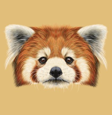 Red Panda resimli portresi