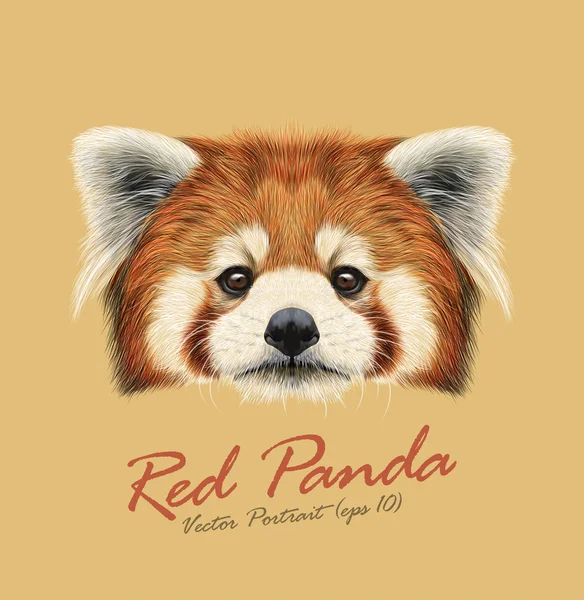 Red panda rare animal cute face. Vector Asian, Chinese funny red cat bear head portrait. Realistic fur portrait of bamboo Red Panda Ailurus fulgens animal isolated on tan background. — Stock Vector