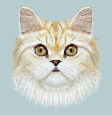 Farsça kedi resimli portresi. 