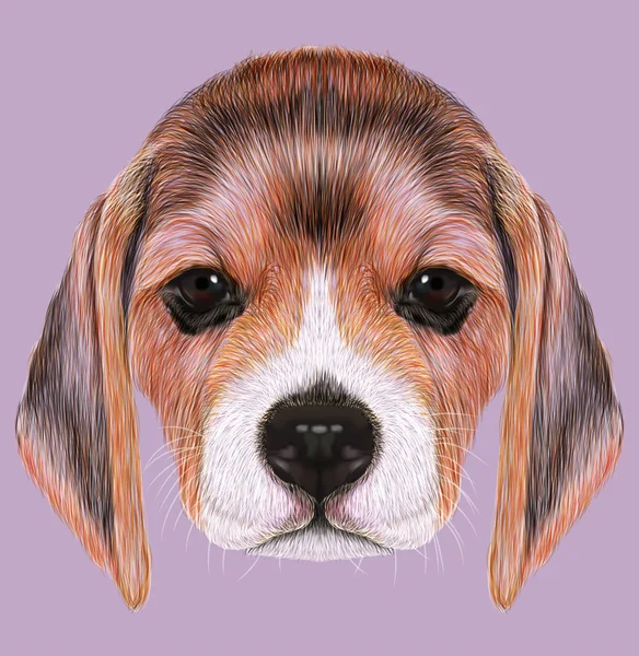 Retrato ilustrado de cão beagle — Fotografia de Stock