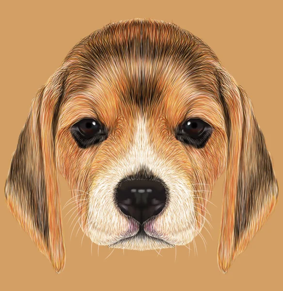 Portrait illustré de Beagle Dog — Photo