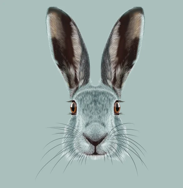 Illustrated Portrait of Hare. — Stock Photo, Image