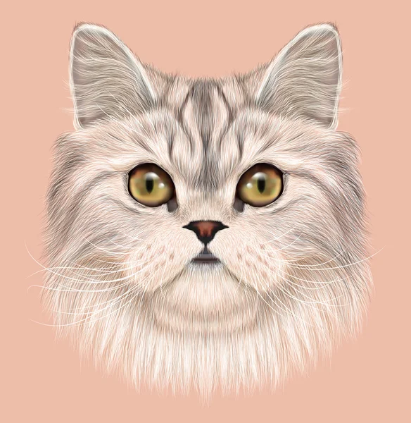 Illustrated Portrait of Persian Cat. — Stock Photo, Image
