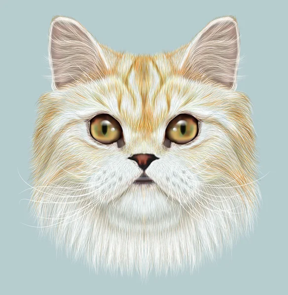 Illustrated Portrait of Persian Cat. — Stock Photo, Image