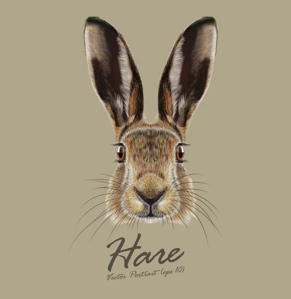 Hare or Rabbit wild animal cute face. Vector European hare, Lepus Europaeus funny bunny head portrait. Easter symbol. Realistic fur portrait of forest brown bunny animal isolated on beige background. — Stock Vector