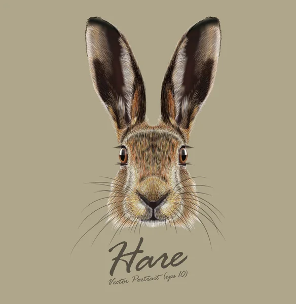 Lebre ou coelho selvagem animal bonito rosto. Lebre europeia de vetor, Lepus Europaeus retrato de cabeça de coelho engraçado. Símbolo da Páscoa. Retrato de pele realista de animal coelho marrom floresta isolado no fundo bege . — Vetor de Stock