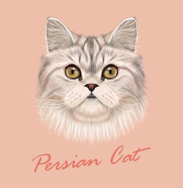 Persian cat purebred animal cute face. Vector funny white tabby gray cat head portrait. Realistic fur portrait of green eyes white Persian kitten isolated on pink background. — Stock Vector