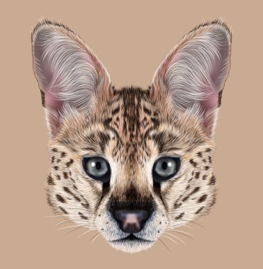 Serval resimli portresi