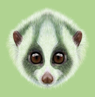 Resimli portre yavaş loris.
