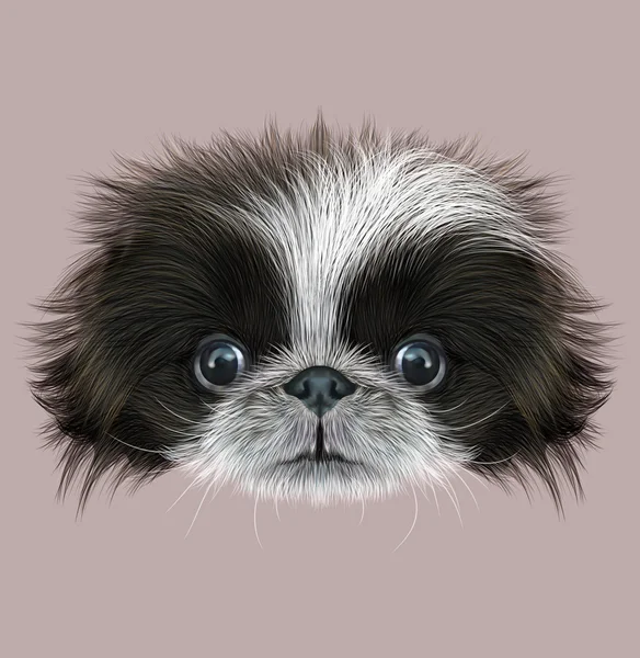 Retrato Ilustrado de Cão Pekingese — Fotografia de Stock