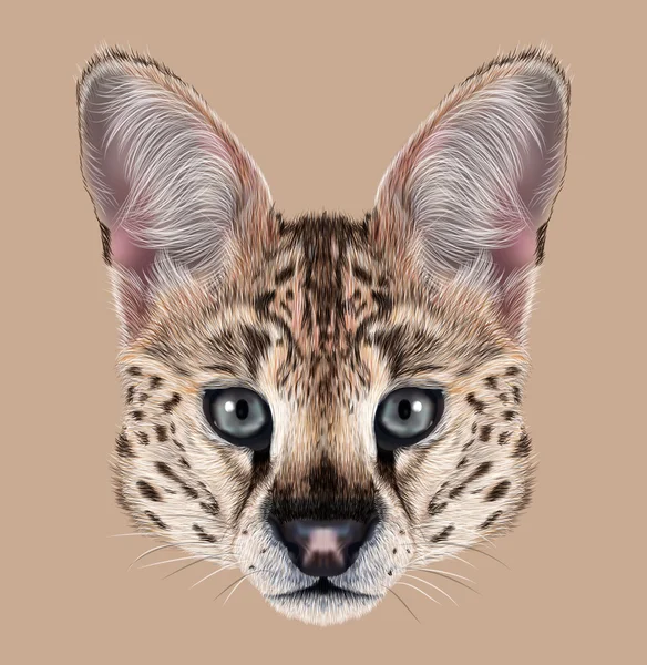 Illustrated Portrait of Serval — Stock Photo, Image