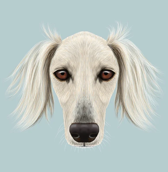 Ilustrovaný portrét Saluki psa — Stock fotografie