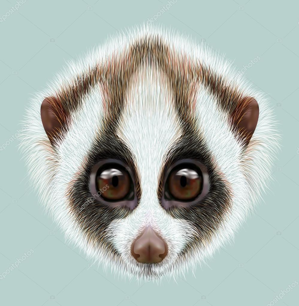 Illustrated Portrait Of Slow Loris Stock Photo Image By C Ant Art 92129234
