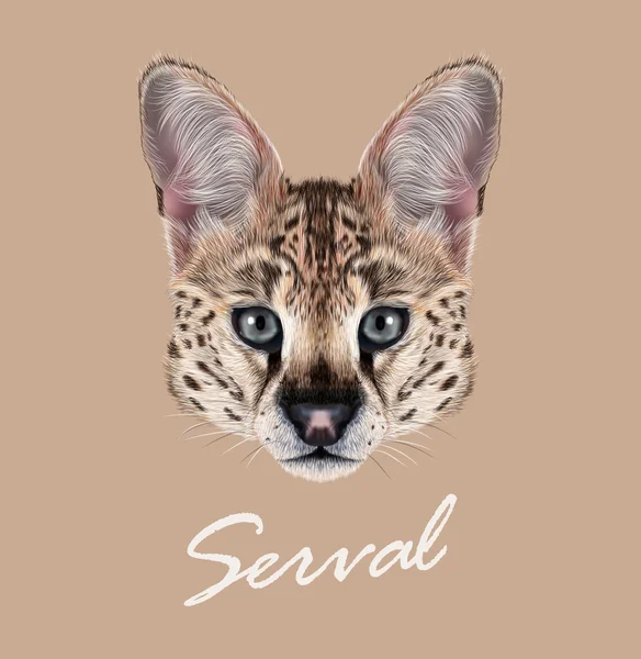 Serval gato salvaje cara de animal. Vector lindo africano savannah serval gatito Leptailurus serval cabeza retrato. Retrato realista de piel de hermoso gatito serval manchado aislado sobre fondo beige . — Vector de stock