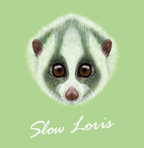 Kukang Stok Vektor Ilustrasi Kukang Bebas Royalti Depositphotos