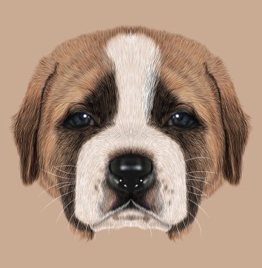 Illustated portre St. Bernard köpek