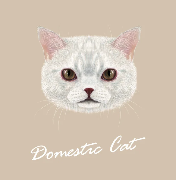 Cat zvířat roztomilý tvář. Vektor legrační bílé vanilkové mourovatá kočka hlavou portrét. Realistické srst portrét domácích pruhované hnědé oči Kitty izolované na béžové pozadí. — Stockový vektor