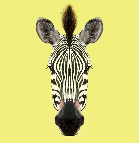 Retrato Ilustrado de Zebra . — Fotografia de Stock