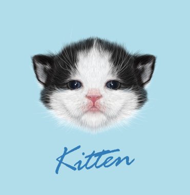 Yavru kedi hayvan sevimli yüzü. Vektör komik yeni doğan küçük kedi baş portre. Gerçekçi kürk portre üzerinde mavi arka plan izole küçük siyah beyaz kedi.
