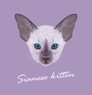 Siyam kedisi hayvan sevimli yüzü. Vektör komik oryantal yavru kedi baş portre. Gerçekçi kürk portre siam leylak noktası Kitty Menekşe arka plan üzerinde izole.