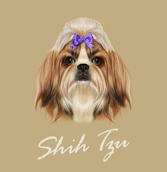 シーズー犬、動物のかわいい顔。ベクトル面白い中国純血種シーズー子犬頭の肖像。ゴールドと白の若いシーズー犬ベージュ色の背景に分離の現実的な毛皮の肖像画. — ストックベクタ