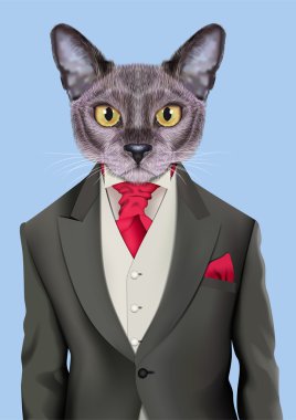 Kedi çocuk retro kostüm giymiş. Klasik ceket, yelek ve kravat giyen sevimli antropomorfik kedi Vektör İllüstrasyon. Gerçekçi Moda şık hayvan portre mavi arka plan izole.