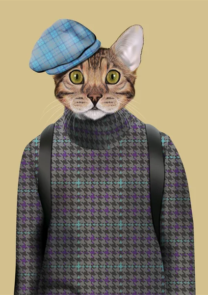 고양이 소년 도시 스타일 입은. — 스톡 벡터