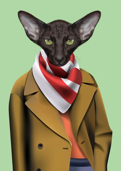 Zwarte kat jongen gekleed in Casual stad stijl. Vector illustratie van schattige antropomorfe Oosterse kat dragen regenjas, sjaal. Realistische mode stijlvolle dierlijke portret geïsoleerd op groene achtergrond — Stockvector