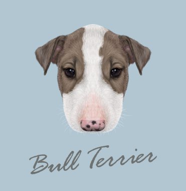Boğa korkunç köpek portre.