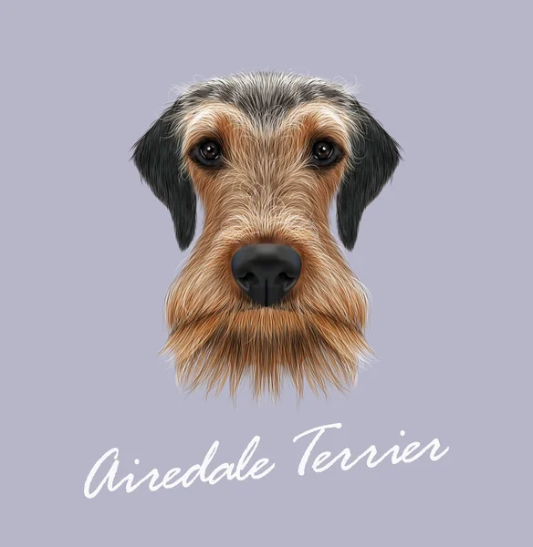 Airedale Terrier Dog Portrait. — Stock Vector