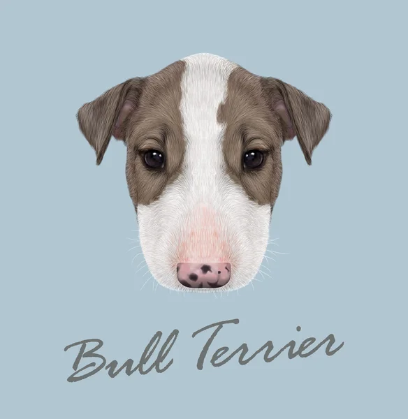 Bull Terrier hund porträtt. — Stock vektor