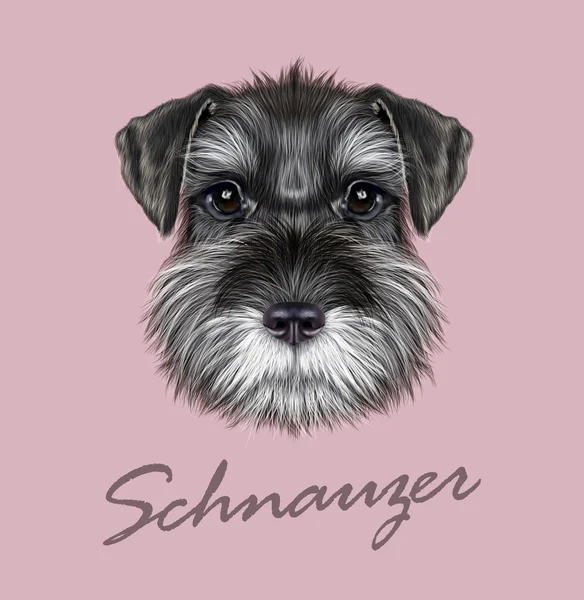 Schnauzer-Hundeporträt — Stockvektor